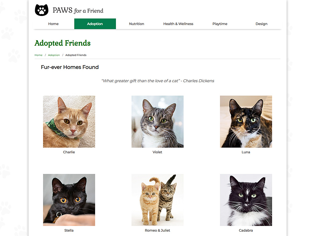 Adoption Page
